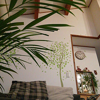 壁/天井/秋の夜風/リラックス/ｱﾚｶヤシ/観葉植物のある暮らし...などのインテリア実例 - 2020-09-12 22:14:05