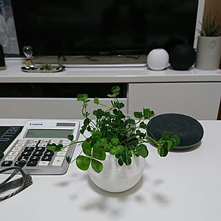 机/ひとり暮らし 1K/Google Home mini/ウォータークローバー/cooeedesign...などのインテリア実例 - 2019-04-13 10:46:46