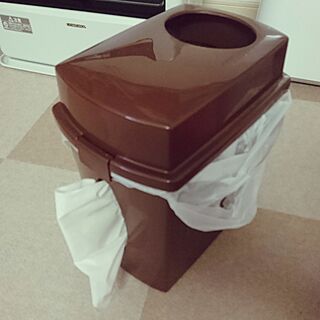 リビング/ゴミ箱のインテリア実例 - 2016-12-31 00:25:05