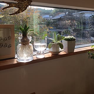 棚/植物/ミナペルホネンのインテリア実例 - 2016-02-24 07:43:16