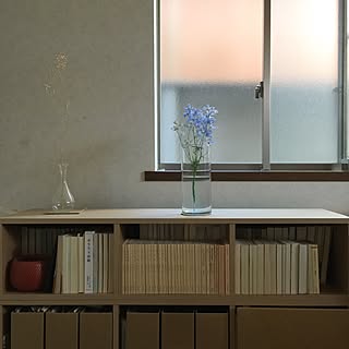 棚/デルフィニウム/IKEA/CYLINDER/シリンダー...などのインテリア実例 - 2016-07-11 07:23:25