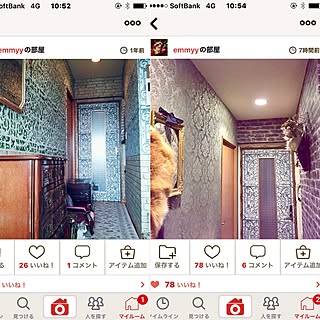 壁/天井/ドアリメイク/セルフリフォーム/輸入壁紙/猫...などのインテリア実例 - 2017-01-09 11:04:06