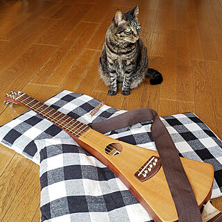 猫/ねこのいる風景/ねこと暮らす/ギター/ギターのある部屋...などのインテリア実例 - 2020-03-28 09:03:48