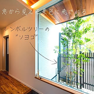 木造注文住宅/人生の景色を変えよう/ソヨゴ/シンボルツリー/坪庭...などのインテリア実例 - 2021-10-25 15:33:26