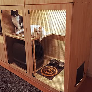 棚/stussy/DIY/猫の家/クローゼット収納...などのインテリア実例 - 2015-10-29 23:25:56