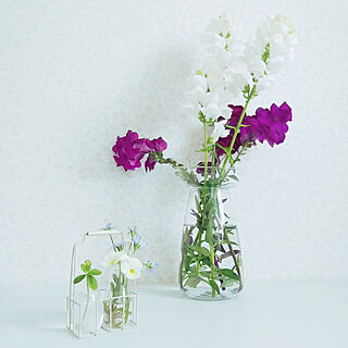 花瓶/green/フラワーベース/お庭のお花/お庭の花たち...などのインテリア実例 - 2020-05-12 15:15:15