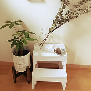 DIY/セリア/100均/観葉植物/IKEA...などのインテリア実例 - 2020-07-06 13:21:56