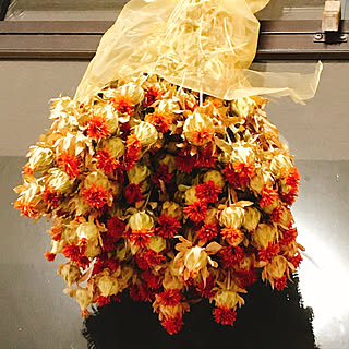 ドライフラワー 紅花のおしゃれなアレンジ 飾り方のインテリア実例 Roomclip ルームクリップ