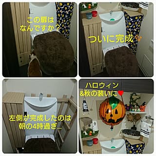 バス/トイレ/DIY/セリア/natural kitchen/にゃんこ...などのインテリア実例 - 2016-09-24 16:39:40