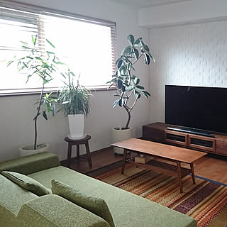 部屋全体/ソファ/パナソニック/アーキスペックナチュラルフロア/観葉植物...などのインテリア実例 - 2018-07-11 12:48:22