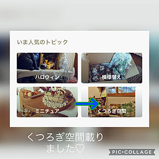 グリーン/癒し/記録用pic/RCの出会いに感謝♡/見てくれてありがとう♡...などのインテリア実例 - 2022-10-20 16:44:27