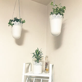 観葉植物/IKEA/無印良品/壁/天井のインテリア実例 - 2021-09-13 00:28:12