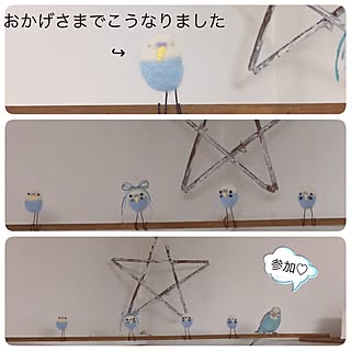 リビング/とりさんグッズ/セキセイインコのまめちゃん/インコテリア/羊毛フェルト...などのインテリア実例 - 2017-02-05 12:14:07