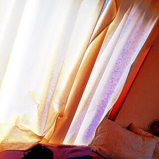 ベッド周り/昼寝/カーテン/ベッド/虫のインテリア実例 - 2013-06-30 16:23:12