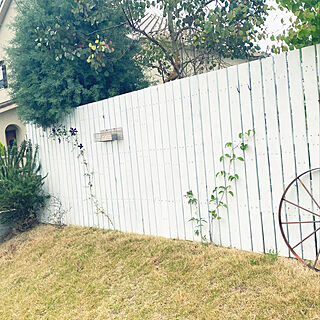 車輪/手づくりの庭/板壁DIY/クレマチス/玄関/入り口のインテリア実例 - 2022-05-12 09:30:09