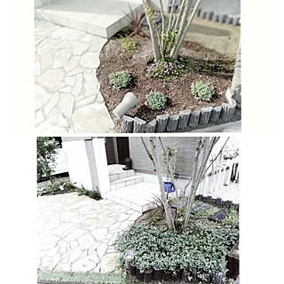 玄関/入り口/建売/建売住宅/植物のある暮らし/コメントお気遣いなく♡...などのインテリア実例 - 2020-07-10 08:34:09