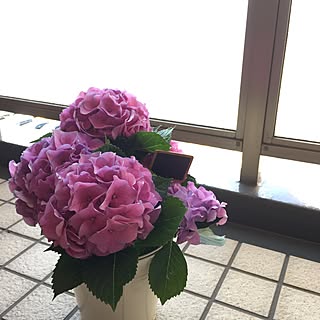 玄関/入り口/ナチュラルキッチンの雑貨/アンティーク/紫陽花/100均...などのインテリア実例 - 2017-04-01 20:20:04