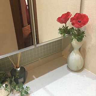 バス/トイレ/お花のある暮らし/観葉植物/エステバンのインテリア実例 - 2018-11-19 23:02:50
