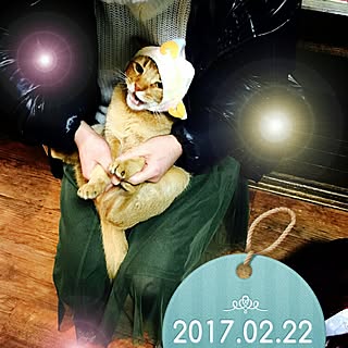 puuchan1004さんの実例写真