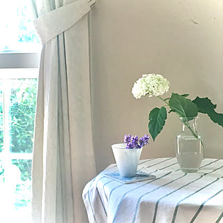 アナベル/心地よい暮らし/いつもありがとうございます♡/庭の花をお部屋で愛でる/植物のある暮らし...などのインテリア実例 - 2021-06-08 19:33:11