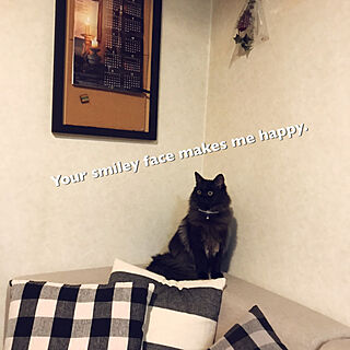 koyuri ちゃんへのエール/黒猫chan°.♡/セリアのクッションカバー/ベッド周りのインテリア実例 - 2019-03-03 22:47:11