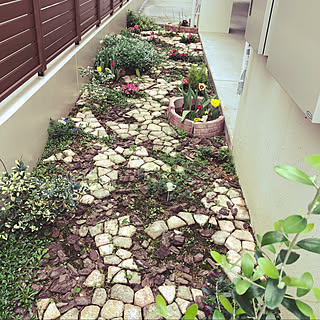 玄関 入り口 雑草だらけのインテリア実例 Roomclip ルームクリップ