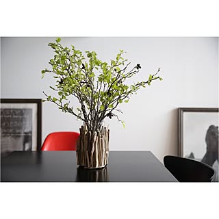 枝物 虫ﾔﾊﾞｲのインテリア実例 Roomclip ルームクリップ