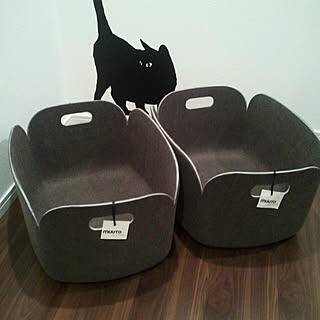 玄関/入り口/ムート /MUUTO/雑貨/ねこ...などのインテリア実例 - 2014-09-29 19:37:27