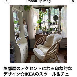 IKEAの椅子/mag掲載ありがとうございます♡/観葉植物/DIY/DIY女子...などのインテリア実例 - 2023-05-15 13:36:46