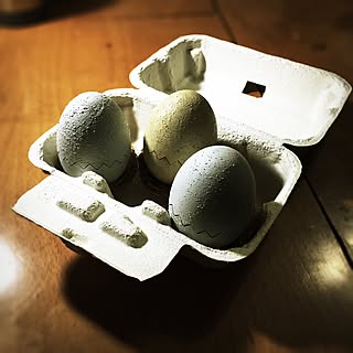 リビング/たまごケース/卵のインテリア実例 - 2016-03-11 21:51:59