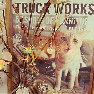 TRUCK WORKSポスター/クリスマス/DIY/ねこ雑貨/猫大好き♡...などのインテリア実例 - 2020-12-05 19:59:33