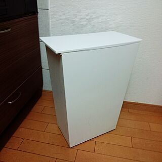 キッチン/ゴミ箱のインテリア実例 - 2017-04-05 18:37:03