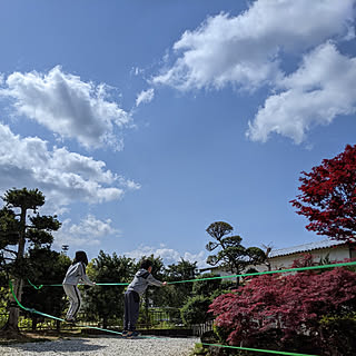 部屋全体/家で楽しむ暮らし/こどものいる暮らし/スラックライン/古い家に暮らすのインテリア実例 - 2021-04-18 10:33:48