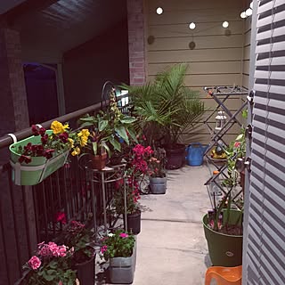 部屋全体/#balconydecoration/#flowers/DIYのインテリア実例 - 2015-04-08 14:32:44