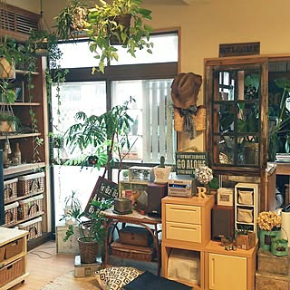 部屋全体/多肉植物♥︎/古道具×GREEN/窓枠棚DIY/グリーンのある暮らし...などのインテリア実例 - 2017-06-11 14:41:22