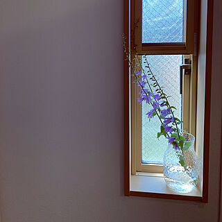 季節の花/窓辺に花/窓辺/花が好き/花のある風景...などのインテリア実例 - 2019-06-16 09:29:11