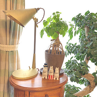 真鍮のランプ/ランプ照明/ガジュマルの木/futagami/窓際のグリーン...などのインテリア実例 - 2020-03-07 15:22:05