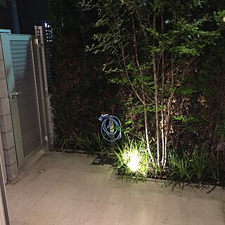 玄関/入り口/ライトアップ/庭/木のインテリア実例 - 2017-06-15 23:31:28
