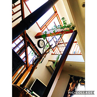 壁/天井/窓格子DIY/観葉植物/グリーン/階段...などのインテリア実例 - 2019-10-27 15:08:22