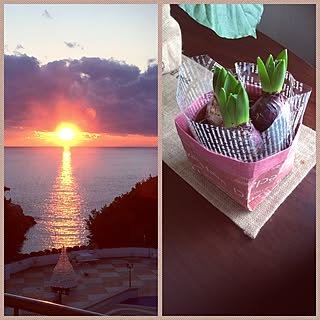 ベッド周り/夕陽の見えるお部屋でした/夕陽がきれい♥/ヒヤシンス球根/観葉植物...などのインテリア実例 - 2016-02-10 14:24:17