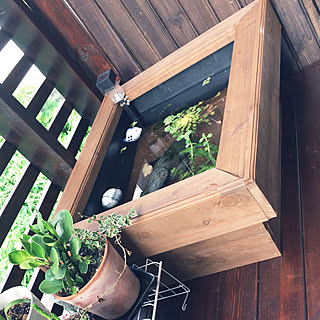 Diy メダカの水槽のインテリア 手作りの実例 Roomclip ルームクリップ