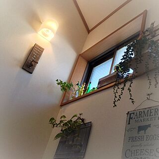 壁/天井/階段の窓/3CIONS/salut!/植物...などのインテリア実例 - 2013-12-04 21:43:08