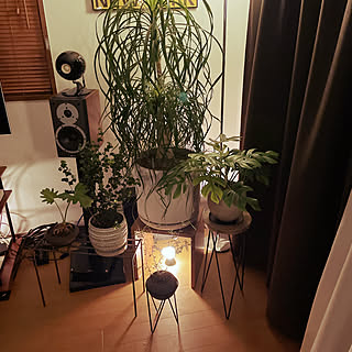 インダストリアルインテリア/間接照明/一人暮らし/シンプルモダン/植物のある部屋...などのインテリア実例 - 2022-10-18 19:15:11