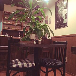 机/植物/DIY/カフェバーやってます/slowcafe...などのインテリア実例 - 2015-01-11 00:01:01