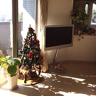 リビング/クリスマスツリー/ウンベラータ/WOOO/観葉植物...などのインテリア実例 - 2013-12-05 11:24:26