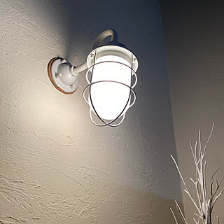 ランプ/照明/壁/天井のインテリア実例 - 2021-05-16 22:27:26
