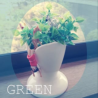 Plants・Plants/動物/フチ子/フェイクグリーン/植物...などのインテリア実例 - 2014-04-26 16:47:35