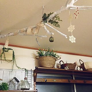 木の枝吊るしてます のインテリア実例 Roomclip ルームクリップ