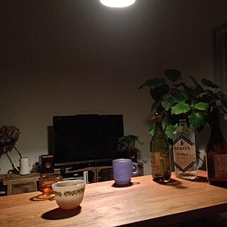 リビング/お酒/植物のインテリア実例 - 2013-01-03 01:36:58