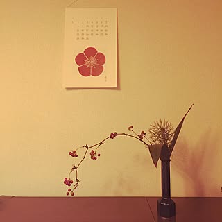 壁/天井/和雑貨のインテリア実例 - 2017-01-14 18:15:28